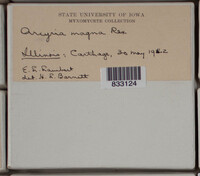 Image Associated With the Occurence